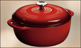 Lodge Enameled Cast Iron Cookware